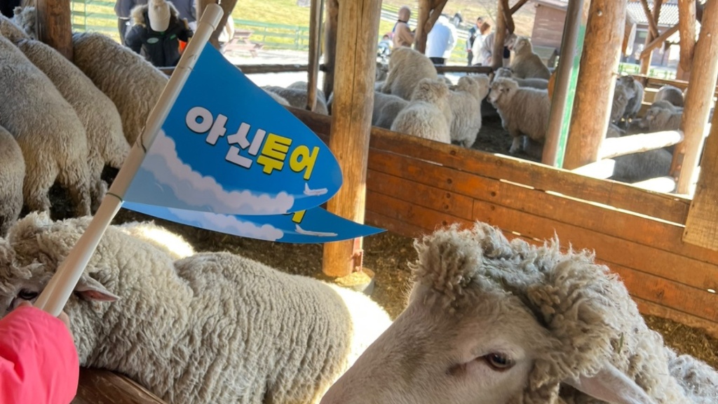 가이드와 함께 지역 문화를 이해하는 여행