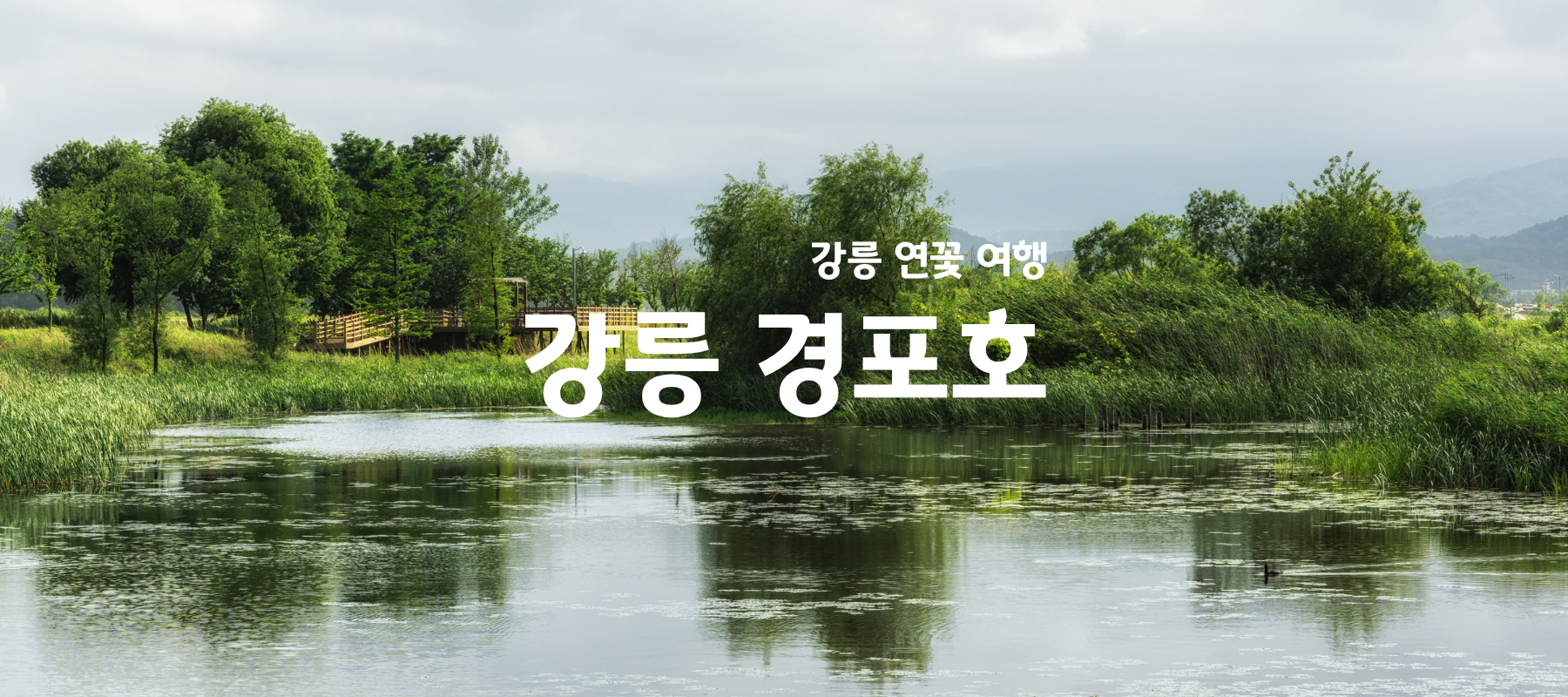 강릉 경포호