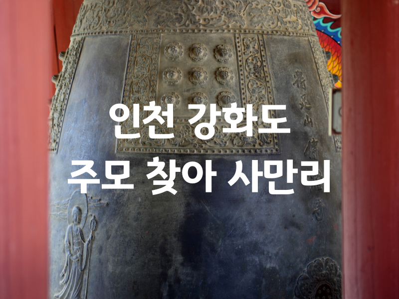 인천 강화도 주모 찾아 사만리 버스투어