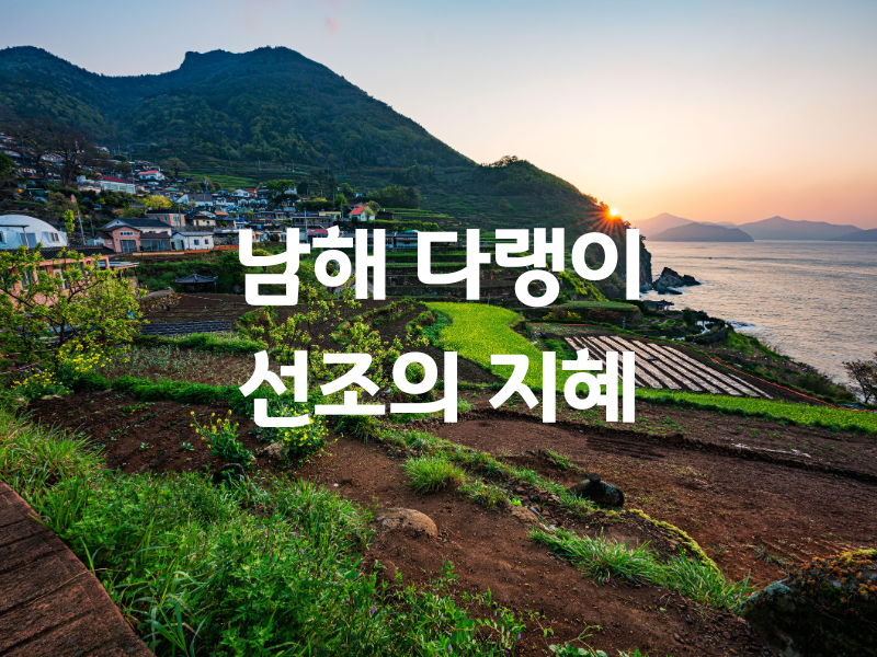 경남 남해 가천 다랭이 마을 버스투어