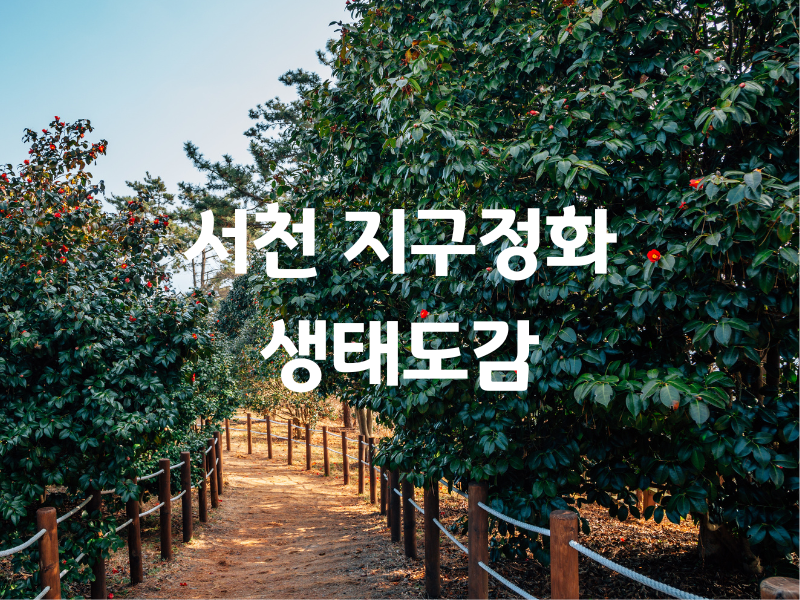충남 서천 국립생태원 자연도감 버스투어