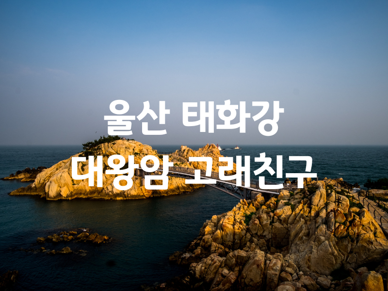 울산 태화강 대왕암 버스투어