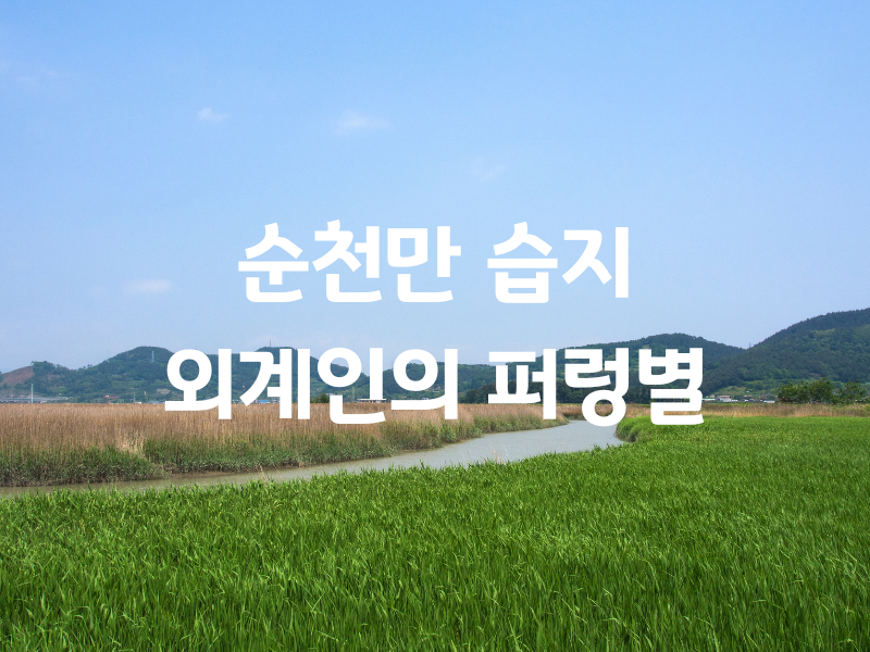 전남 순천만 습지 외계인의 퍼렁별 버스투어