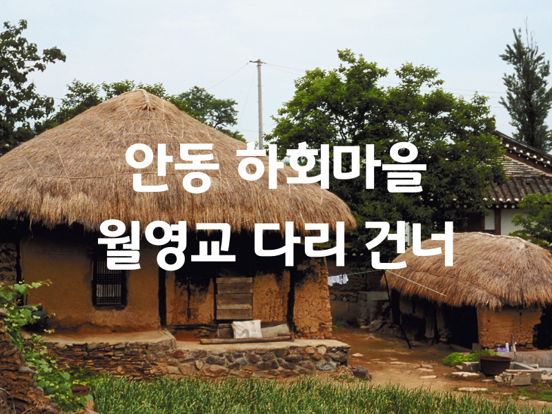 경북 안동 하회마을 월영교 다리 버스투어