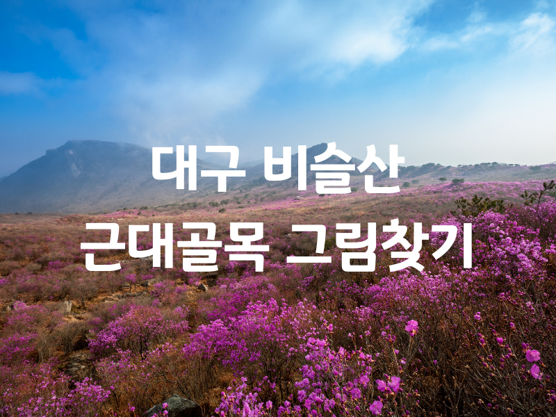 대구 비슬산 근대골목 그림찾기 버스투어