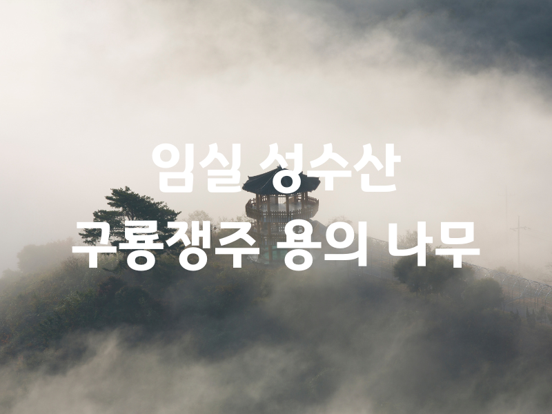 전북 임실 성수산 구룡쟁주 버스투어